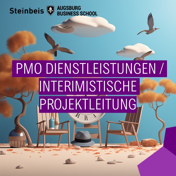 PMO-Interimistische Projektleitung PMO-Interimistische Projektleitung