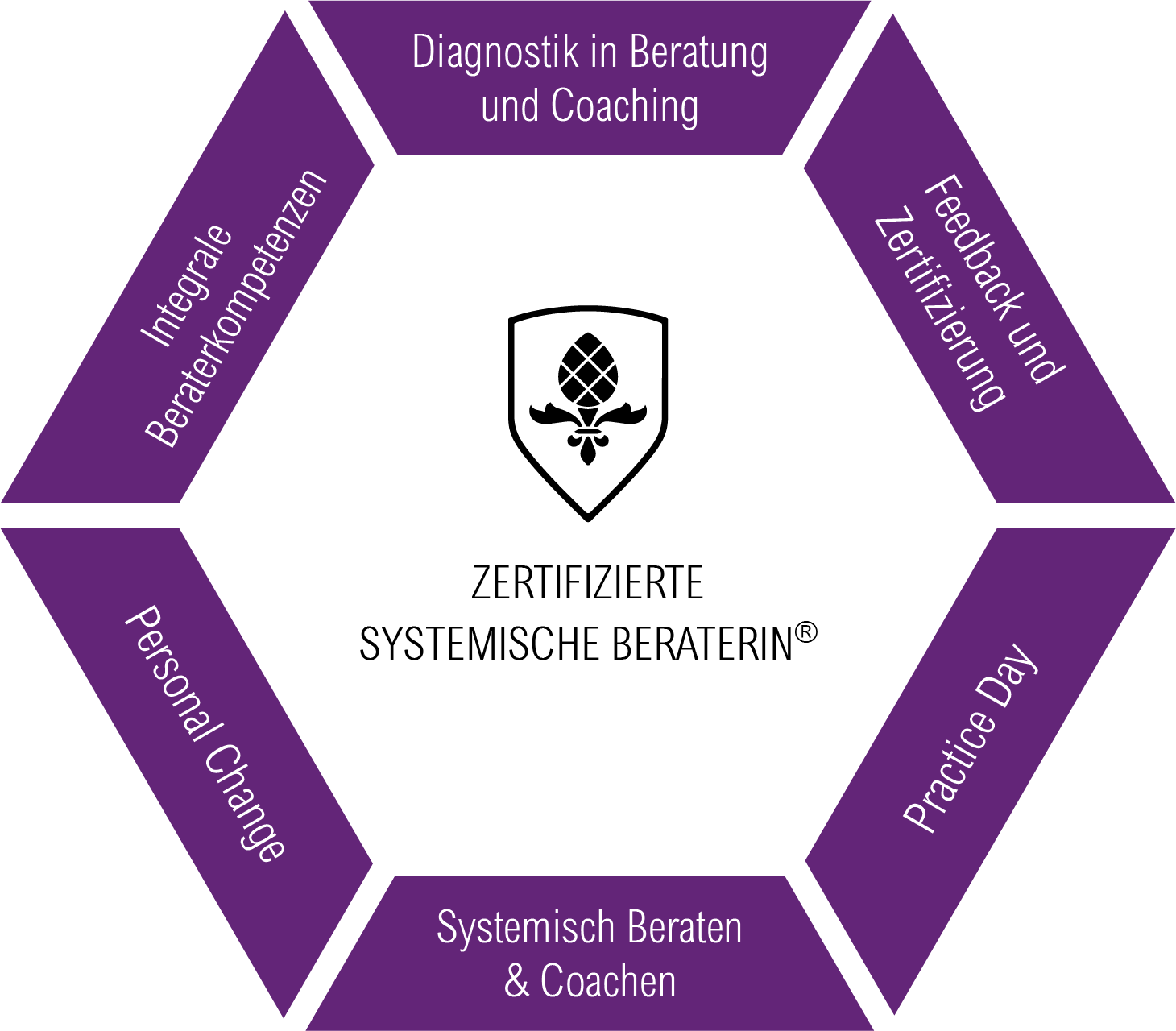 Zertifizierte Systemische Beraterin Modulgrafik schwarz zertifizierte systemische beraterin stuttgart münchen köln hamburg berlin