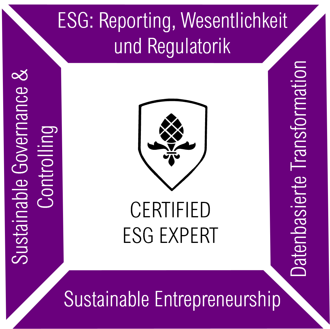 Modulgrafik Certified ESG Expert ESG Zertifizierung, Steinbeis, Steinbeis ESG, München, Augsburg, Berlin, Hamburg, Stuttgart, Leipzig, Düsseldorf, Frankfurt, Weiterbildung, Nachhaltigkeit, ESG Rating, ESG Kriterien