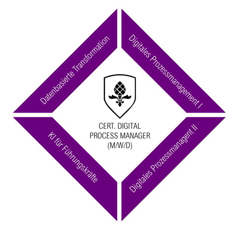 Prozessmanager Kurs Prozessmanager Kurs