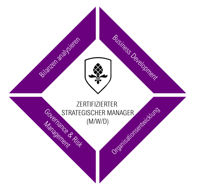 Strategischer Manager Kurs Strategischer Manager Kurs