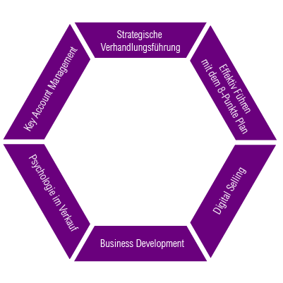 Sales Director Sales Director