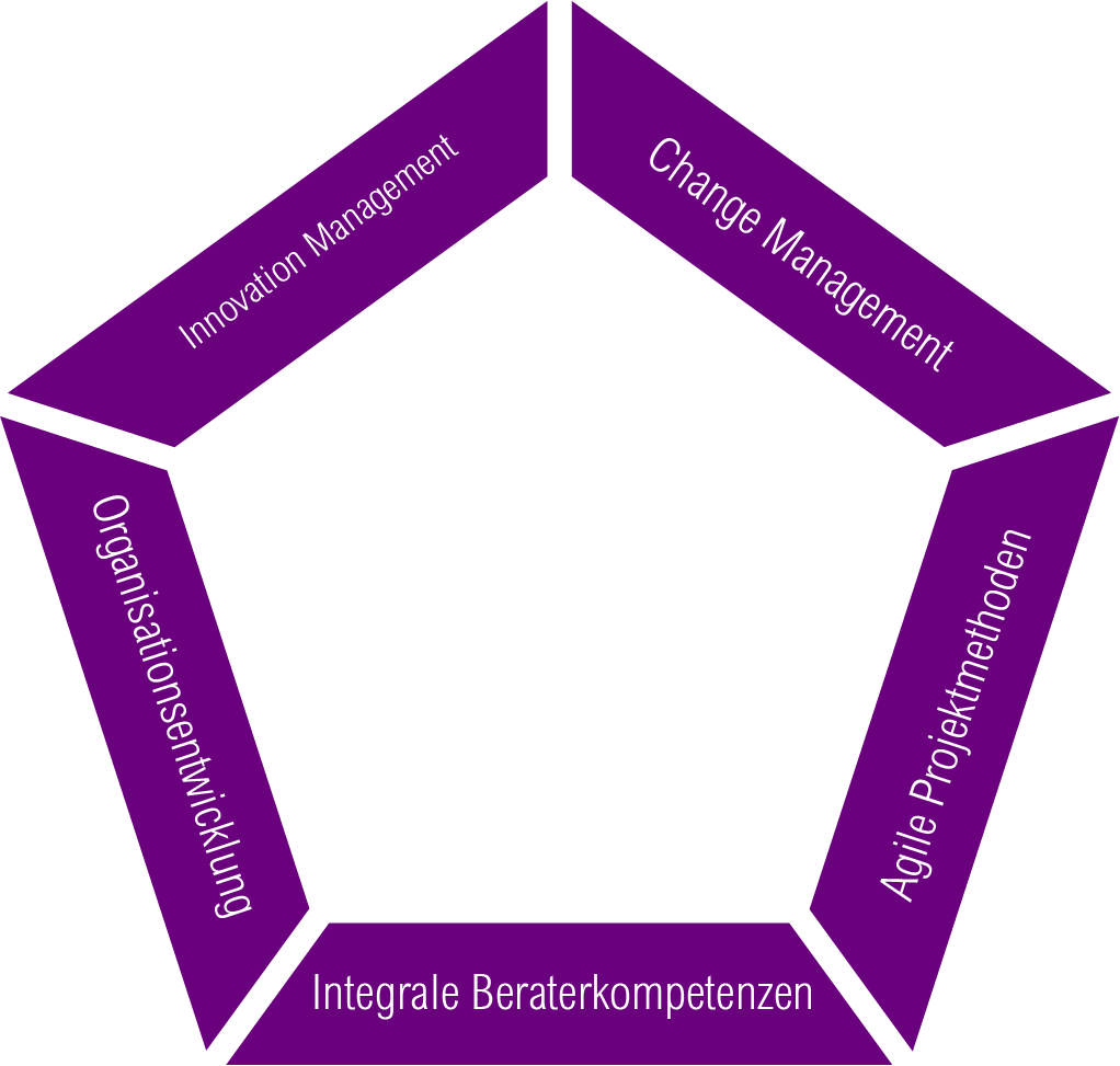 Weiterbildung Organisationsentwickler_Kursaufbau Organisationsentwicklung