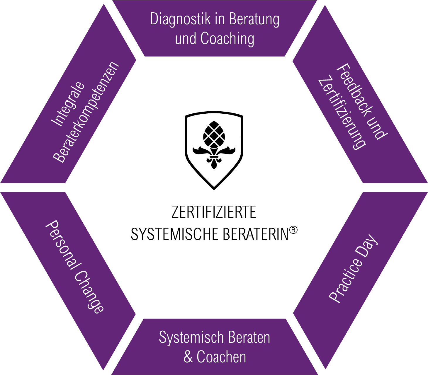 zertifizierte systemische beraterin stuttgart münchen köln hamburg berlin