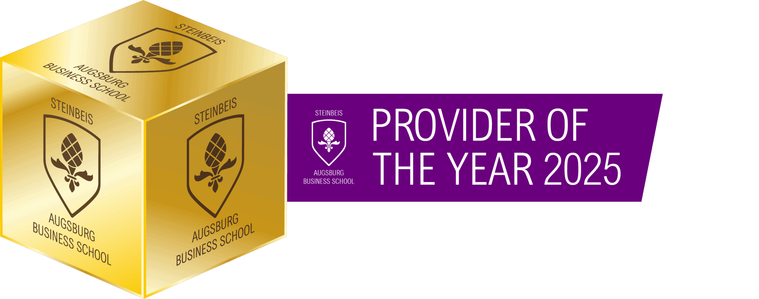 Provider of the year Steinbeis Ausgburg Business School